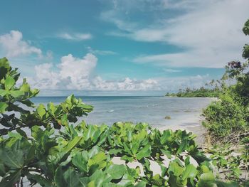 Scenic view of sea against sky