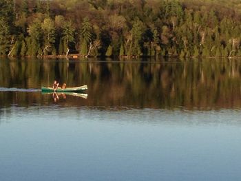 Reflection of trees in lake