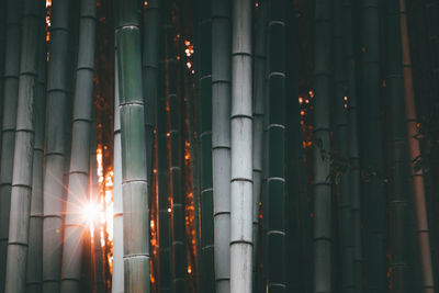 Full frame shot of illuminated built structure