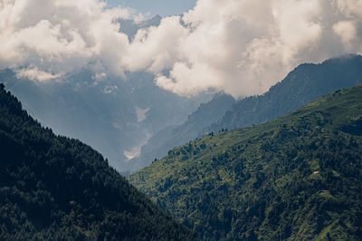nature