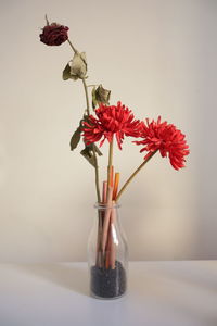 Close-up of red flowers in vase on table