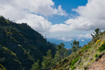 Scenic view of trees and mountains against sky