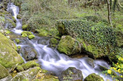 Stream flowing through rocks in forest