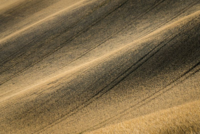 Full frame shot of agricultural field