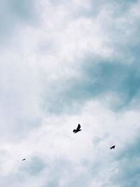 Low angle view of birds flying in sky