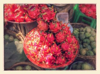 Close-up of colorful flowers