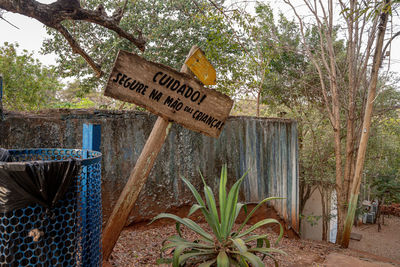 Information sign on tree by plants