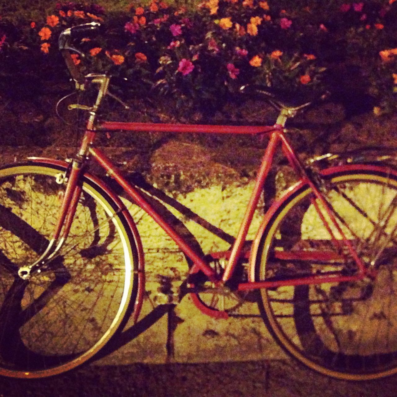 bicycle, transportation, mode of transport, land vehicle, wheel, stationary, parked, parking, metal, high angle view, railing, no people, outdoors, day, sunlight, close-up, part of, red, nature, tire