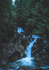 Stream flowing through rocks in forest