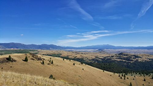 Scenic view of landscape against blue sky