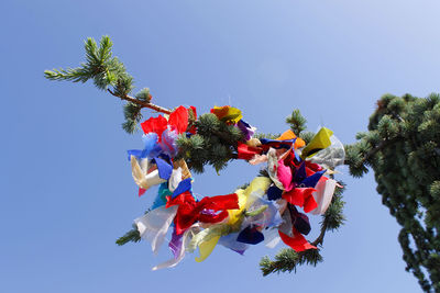 Low angle view of flowers against blue sky