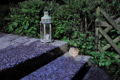 Stone wall in yard