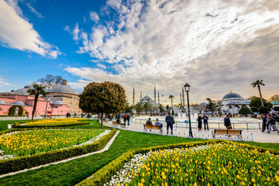 Scenic view of garden against cloudy sky