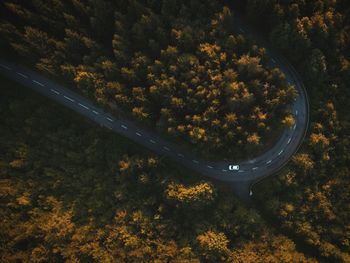 High angle view of road along forest
