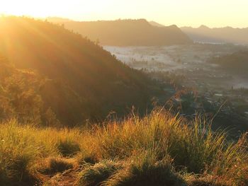 Scenic view of landscape against sky at sunset