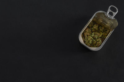 High angle view of food against black background