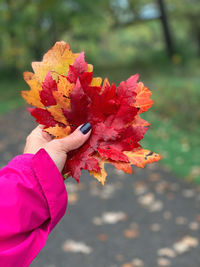 Close-up of hand holding leaves at park during autumn