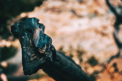 Close-up of rusty metal on rock