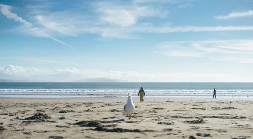 People on beach against sky