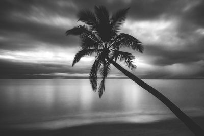 Silhouette palm tree on beach against cloudy sky