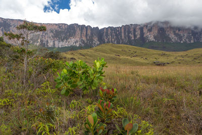 Scenic view of land and mountains against sky