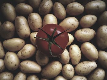Full frame shot of eggs