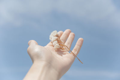 Close-up of hand holding blue sky