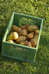 High angle view of pears in crate on field