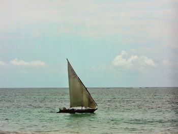 Sailboat sailing on sea against sky
