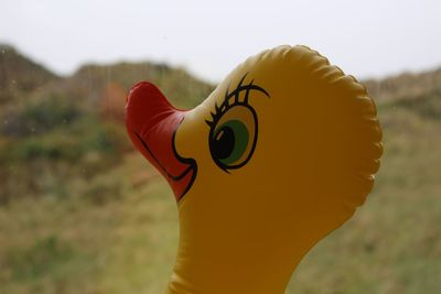 Close-up of a bird against blurred background