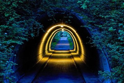 Illuminated tunnel in park