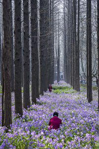 Women standing among purple flowering plants amidst trees at forest