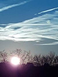 Low angle view of silhouette trees against sky