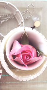 High angle view of pink roses on table