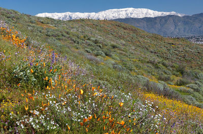 Scenic view of mountains