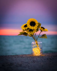 Close-up of yellow flower in vase