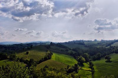 Scenic view of agricultural field against sky