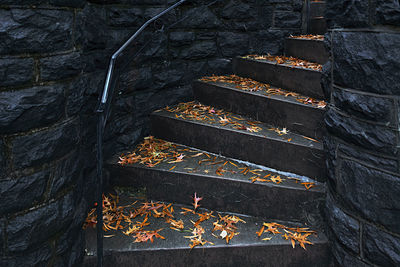 High angle view of autumn leaves on staircase