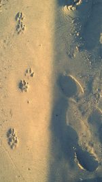 High angle view of footprints on sand at beach