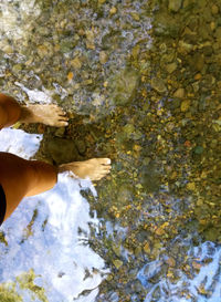 High angle view of stream flowing through rocks