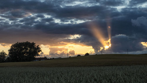 Scenic view of field against sky during sunset