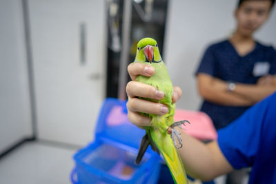 Midsection of woman holding ice cream
