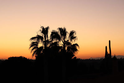 Silhouette trees against clear sky during sunset