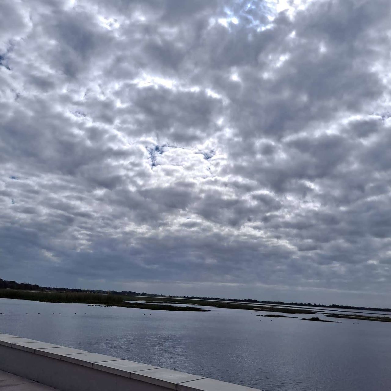 cloud, sky, water, nature, beauty in nature, sea, horizon, scenics - nature, no people, flying, transportation, tranquility, environment, day, outdoors, animal themes, animal, tranquil scene, overcast, reflection, coast, animal wildlife, shore, bird, air vehicle, travel