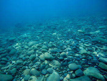 Aerial view of sea and rocks