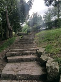 Staircase in forest