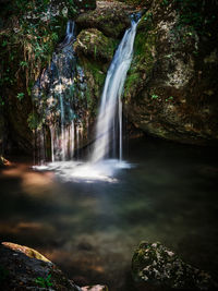 Scenic view of waterfall in forest