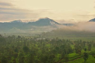 Scenic view of landscape against sky