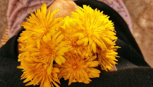 Close-up of yellow marigold