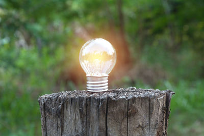 Close-up of light bulb on wooden post
